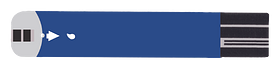 G-427B Test Strips